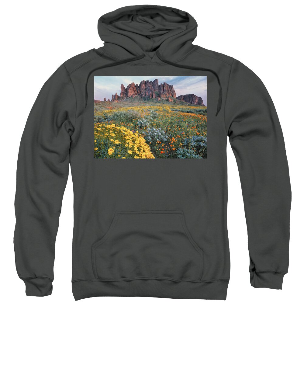 00175967 Sweatshirt featuring the photograph California Brittlebush Lost Dutchman by Tim Fitzharris