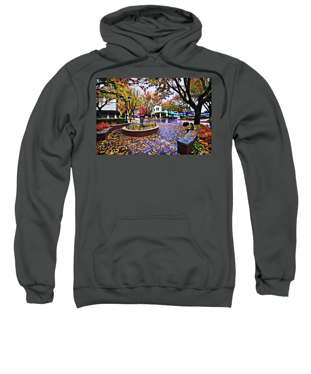 Leaves Sweatshirt featuring the photograph Camas in the Fall by John Christopher