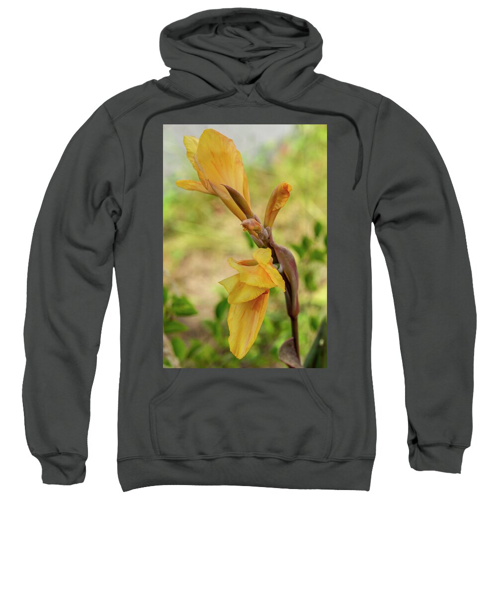Canna Sweatshirt featuring the photograph Canna Lily by Timothy Anable
