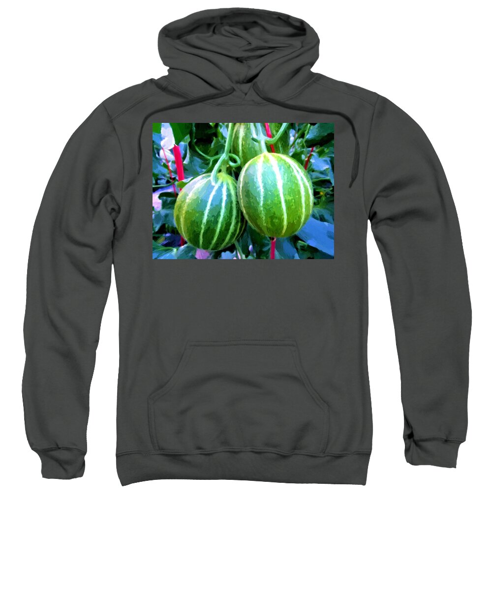 Tree Sweatshirt featuring the painting Cantaloupe hanging on tree by Jeelan Clark