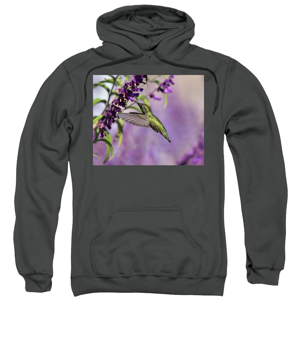 Linda Brody Sweatshirt featuring the photograph Captivated III by Linda Brody