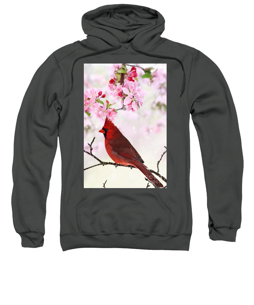 Cardinal Sweatshirt featuring the photograph Cardinal Amid Spring Tree Blossoms by Stephanie Frey