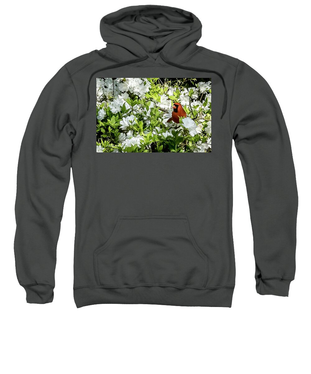 Flowers Sweatshirt featuring the photograph Cardinal and Azaleas by Ed Stines