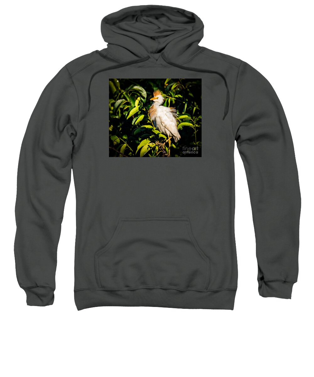 Nature Sweatshirt featuring the photograph Cattle Egret by George Kenhan
