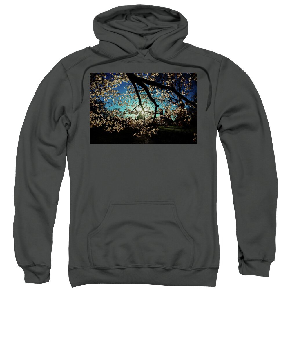 New York City Sweatshirt featuring the photograph Central Park Sun by Raf Winterpacht