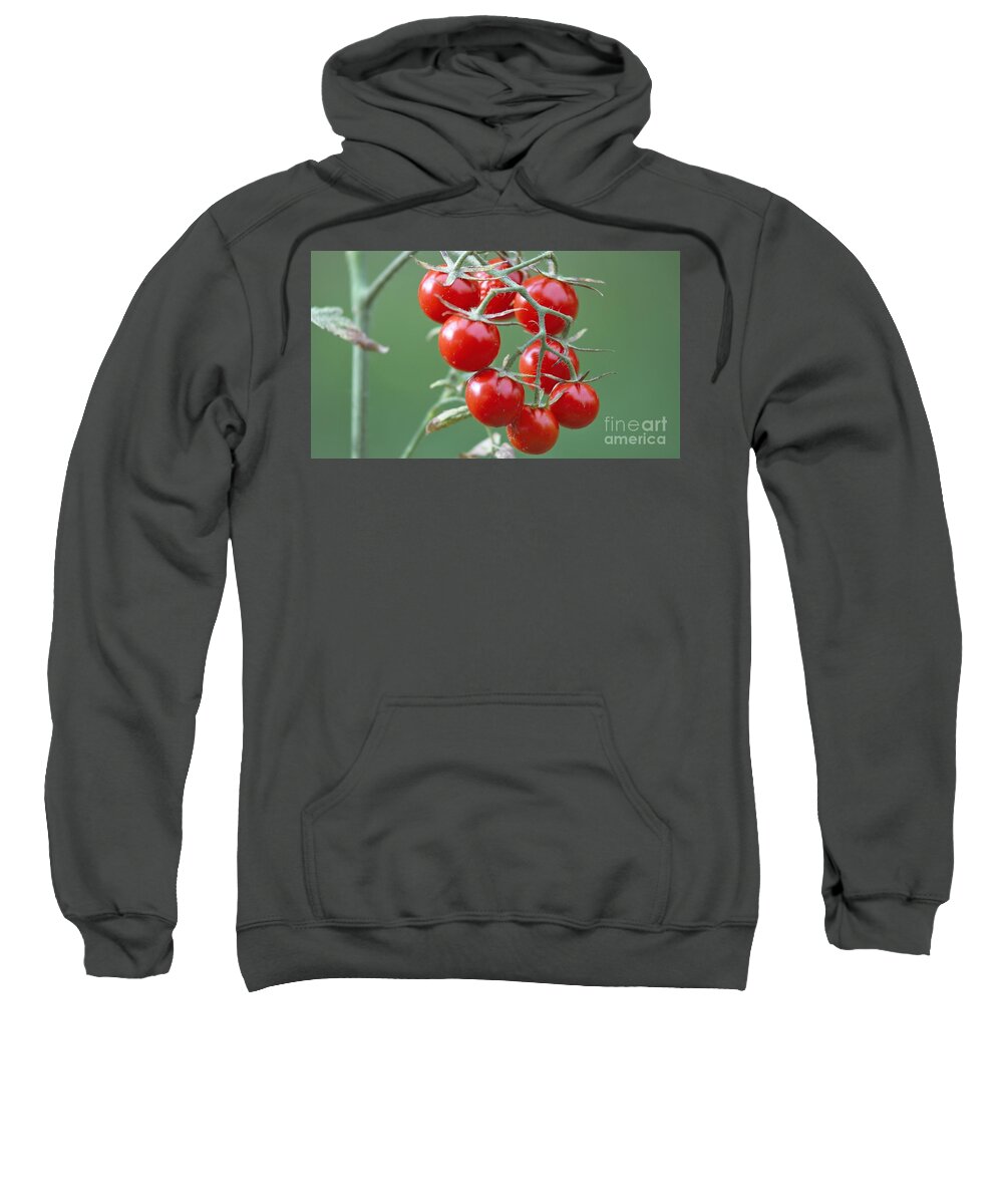 Garden Sweatshirt featuring the photograph Cherry Tomatoes by Jasmin Hrnjic