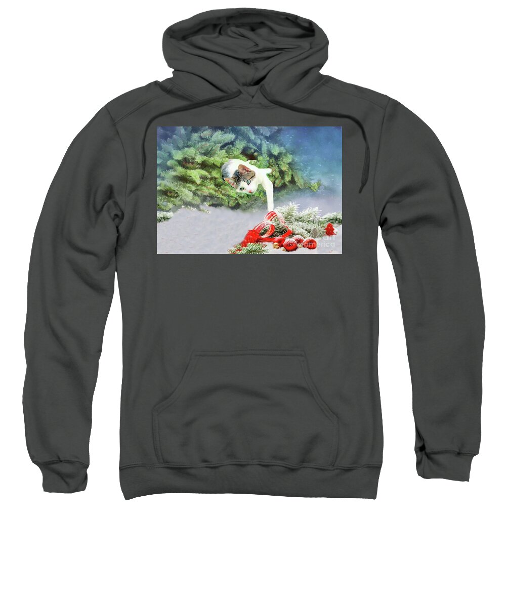 Cat Sweatshirt featuring the photograph Christmas Cat by Janette Boyd