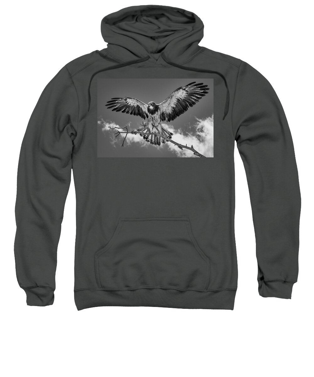 Bird Sweatshirt featuring the photograph Cleared For Landing 2 by Bruce Bonnett