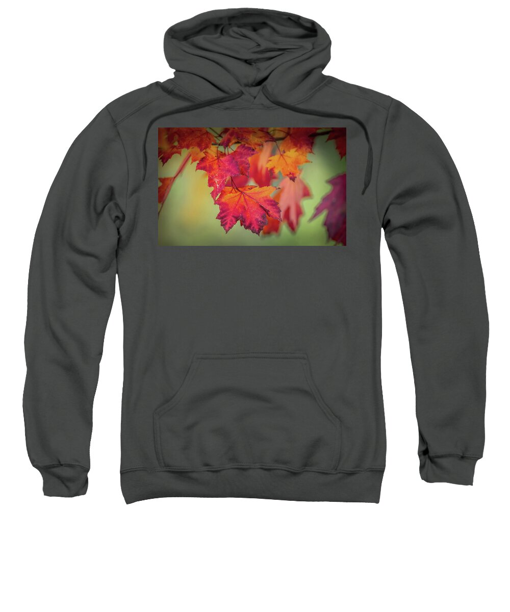 Leaf Sweatshirt featuring the photograph Close-up of Red Maple Leaves in Autumn by Patrick Wolf