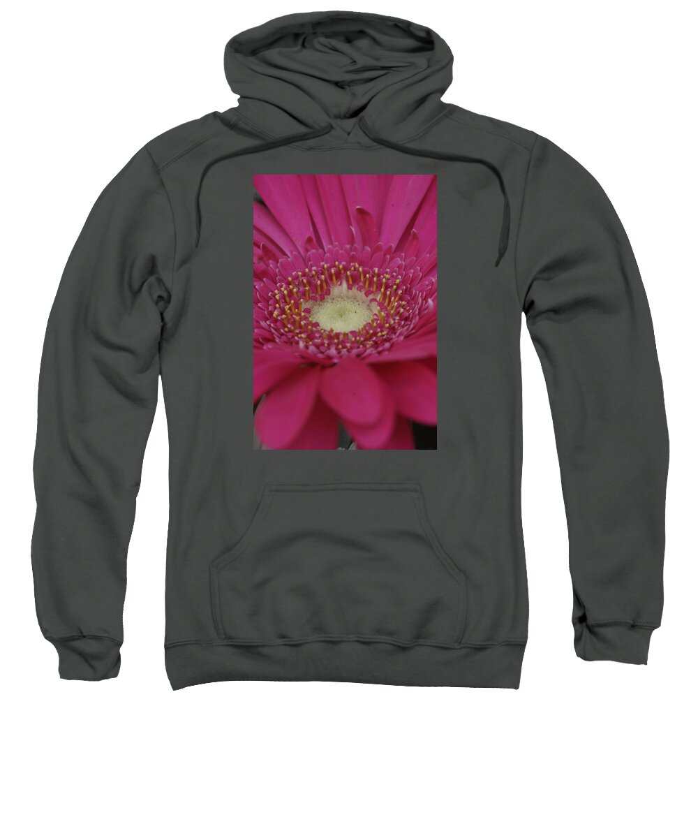 Flowers Sweatshirt featuring the photograph Closeup of a flower by Dimitry Papkov