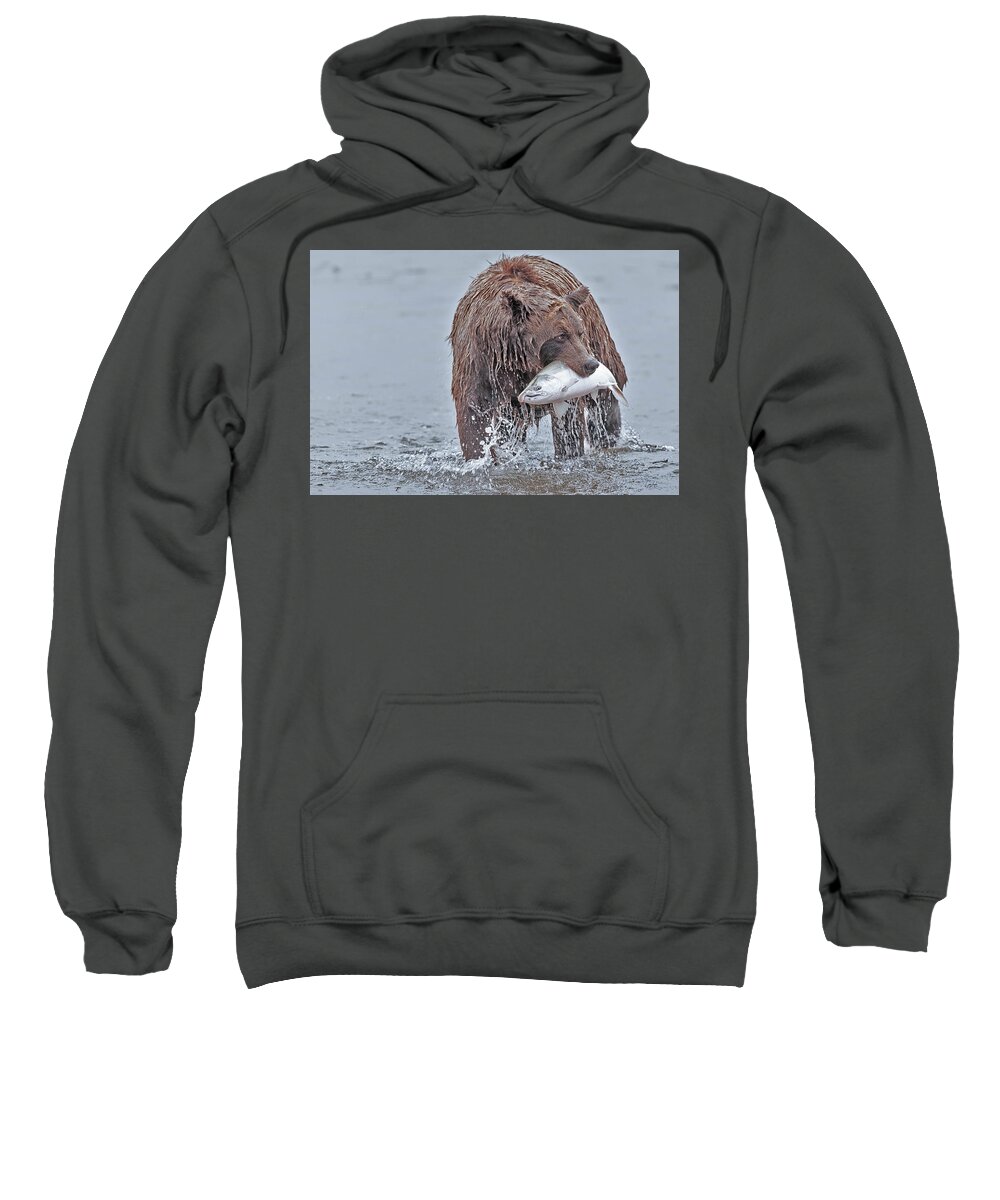 Coastal Sweatshirt featuring the photograph Coastal Brown Bear with Salmon by Gary Langley