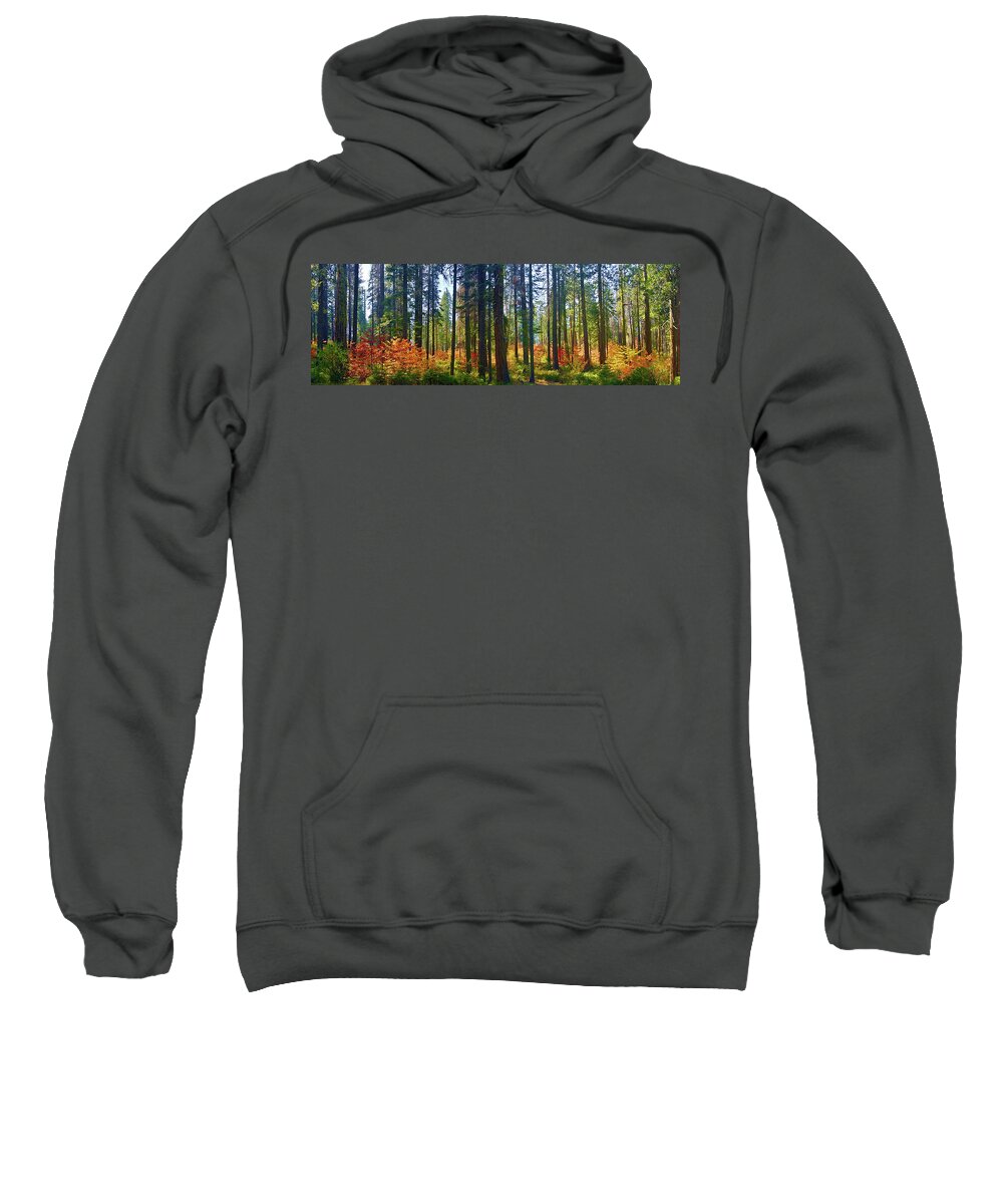 Tall Sweatshirt featuring the photograph Color Among The Evergreen by Surjanto Suradji