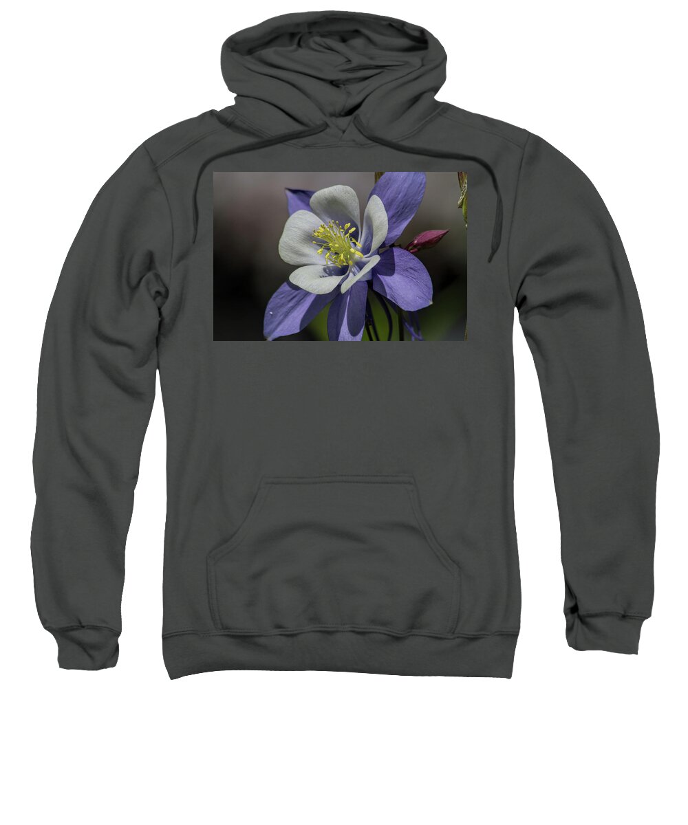 Flower Sweatshirt featuring the photograph Columbine Blues by Alana Thrower
