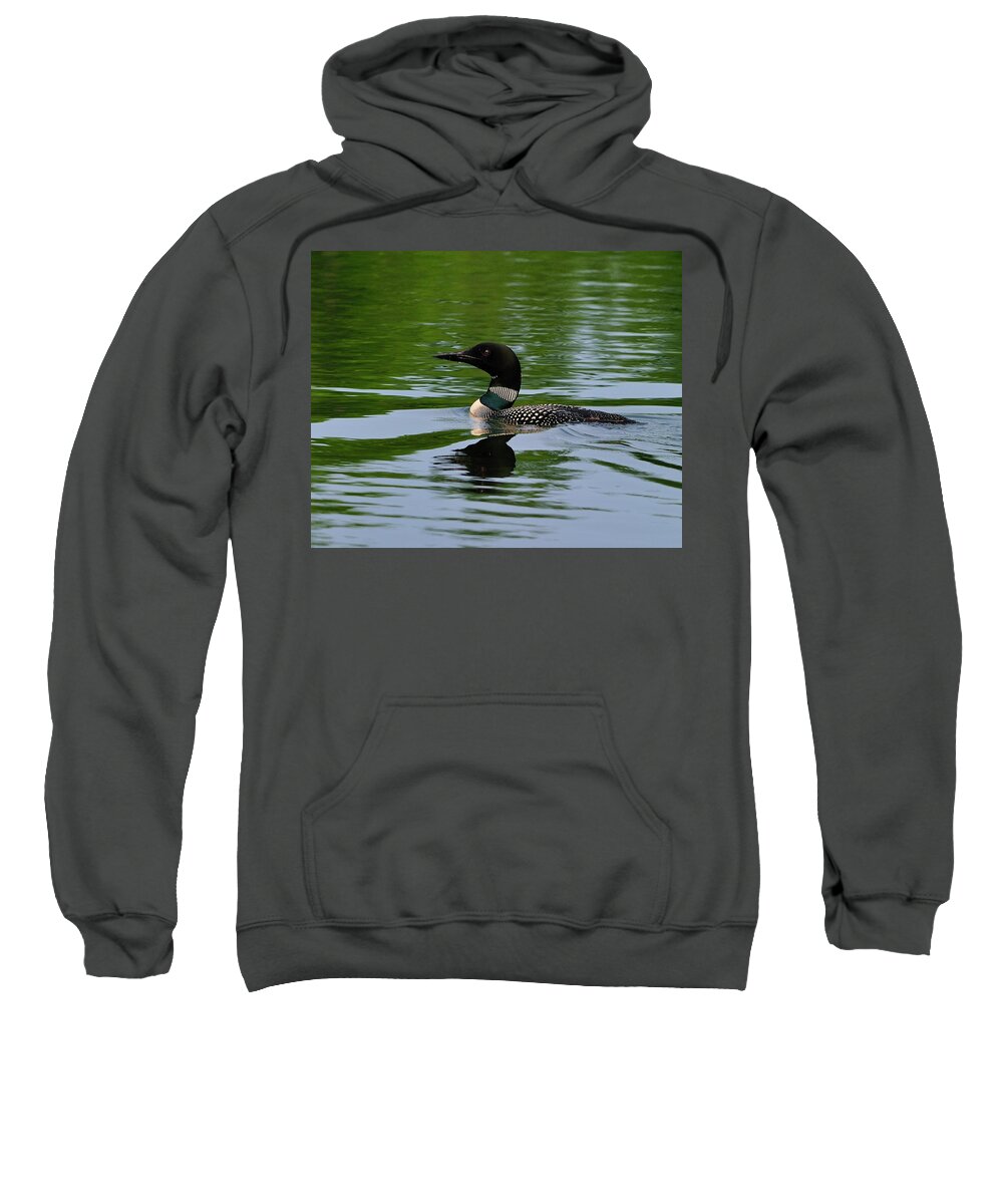 Common Loon Sweatshirt featuring the photograph Common Loon by Tony Beck