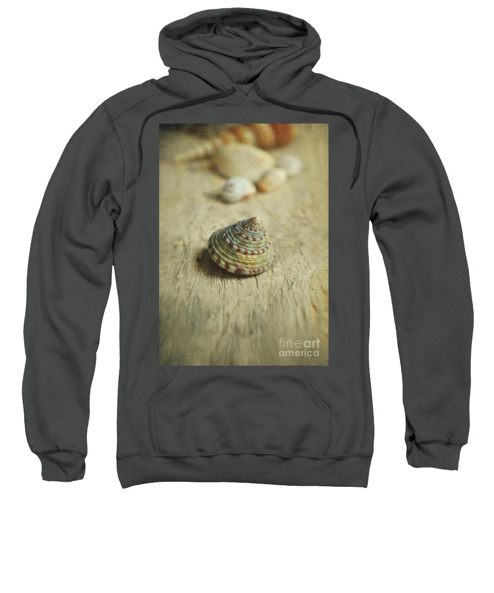 Shell Sweatshirt featuring the photograph Cone Shell by Lyn Randle