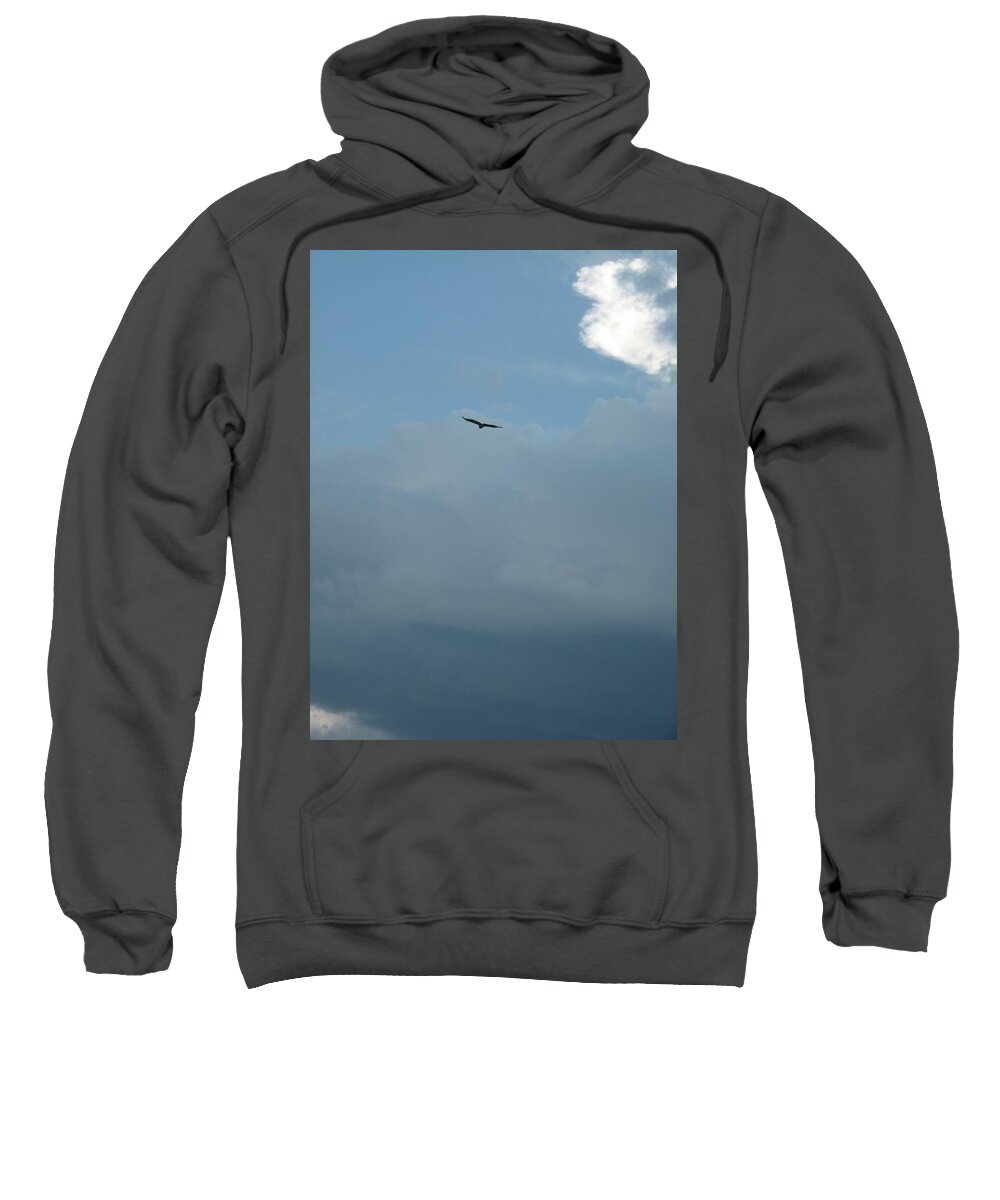 Bird Sweatshirt featuring the photograph Continental Thermals by Judith Lauter