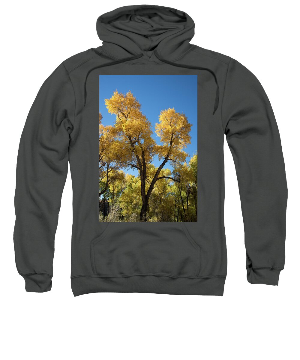 Cody Sweatshirt featuring the photograph Cool, Crisp, Clean by Frank Madia