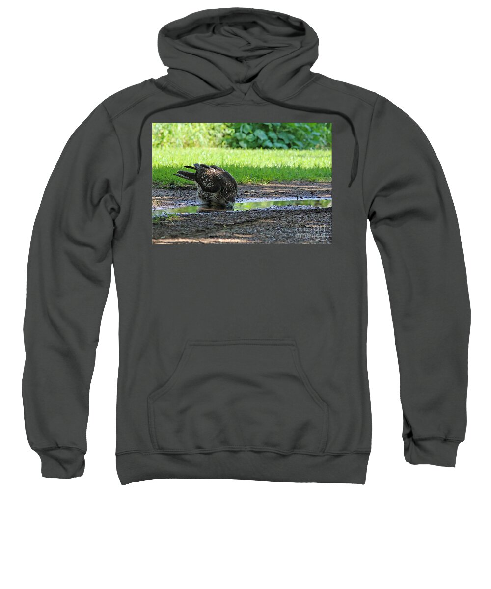 Hawk Sweatshirt featuring the photograph Cool Drink On A Hot Day by Rebecca Morgan
