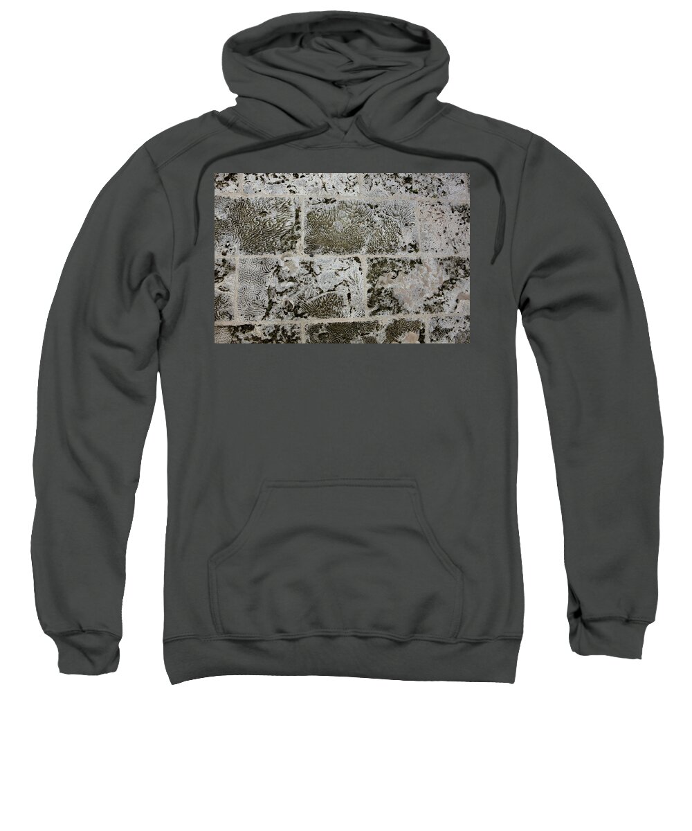 Texture Sweatshirt featuring the photograph Coral Wall 205 by Michael Fryd