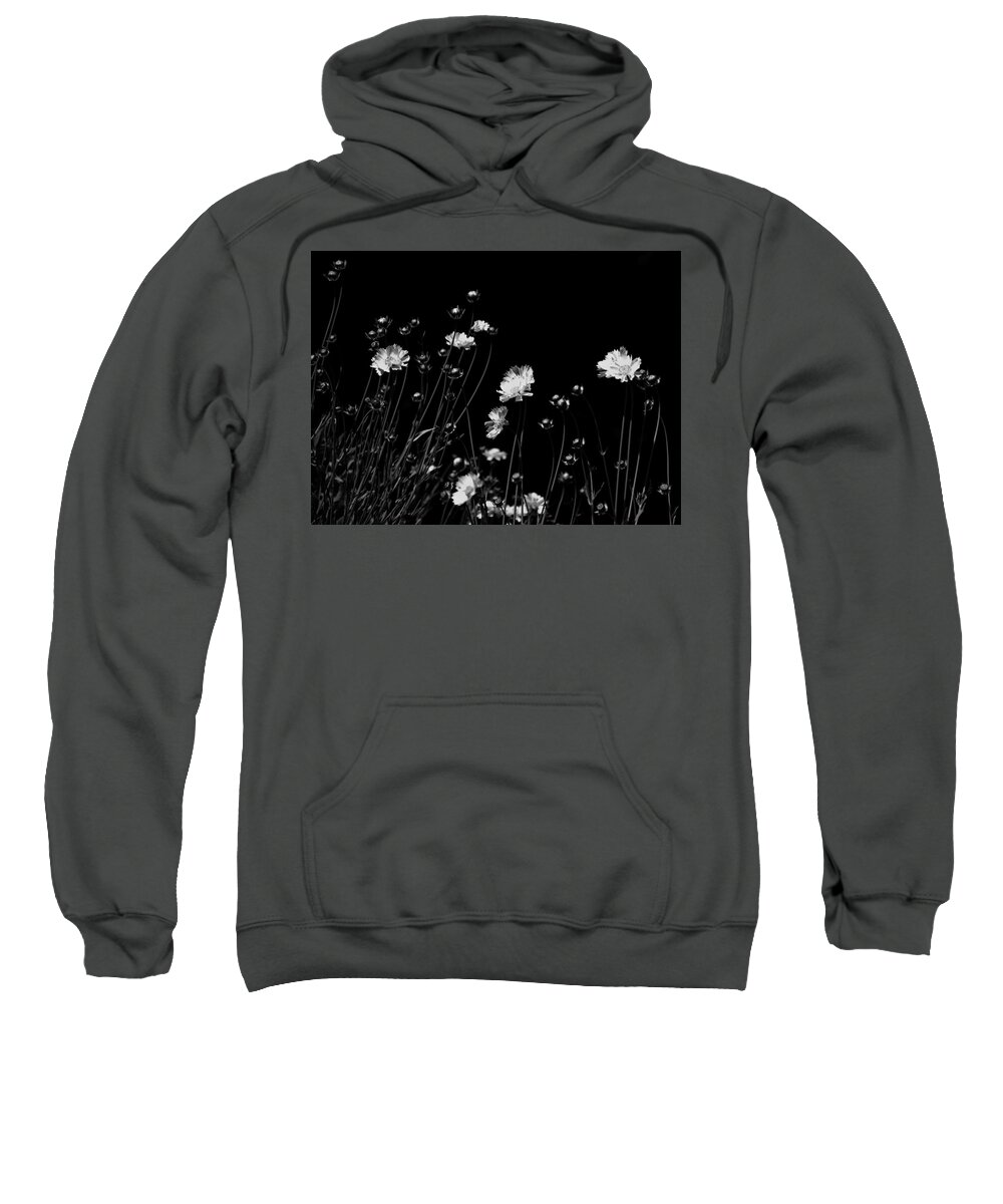 Black And White Sweatshirt featuring the photograph Coreopsis by JGracey Stinson