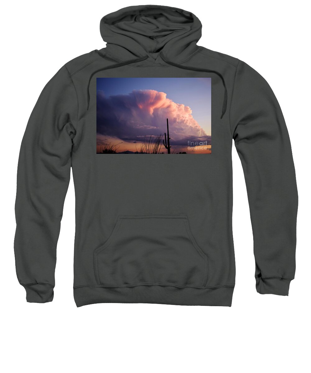 Saguaro National Park Sweatshirt featuring the photograph Corsage Adorned Cloud by Janet Marie