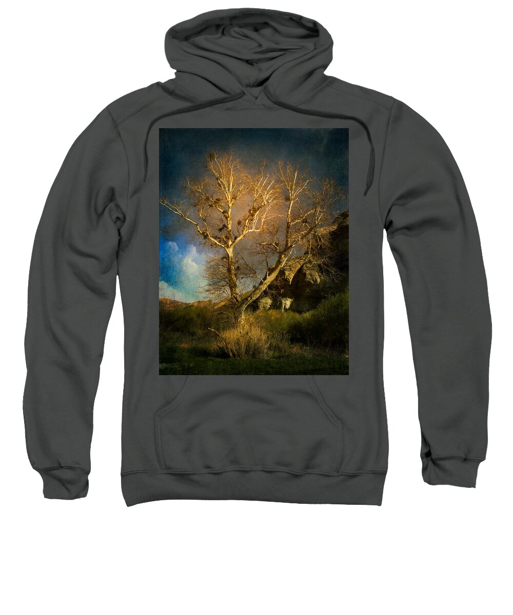 California Sweatshirt featuring the photograph Cottonwood Tree by Sandra Selle Rodriguez