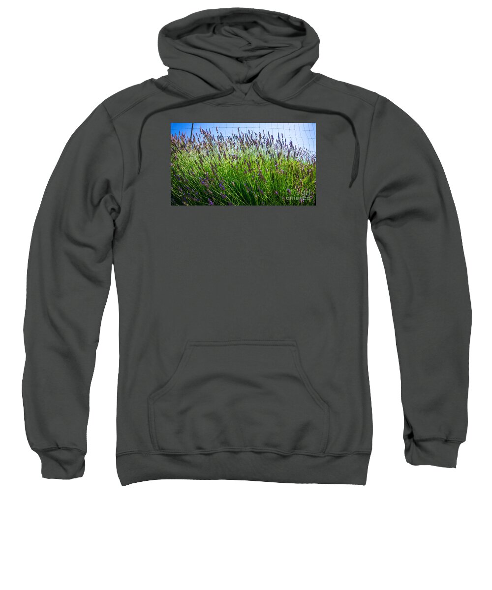 Flowers Sweatshirt featuring the photograph Country Lavender II by Shari Warren