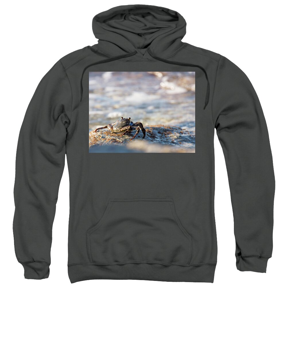 Crab Sweatshirt featuring the photograph Crab Looking for Food by David Buhler