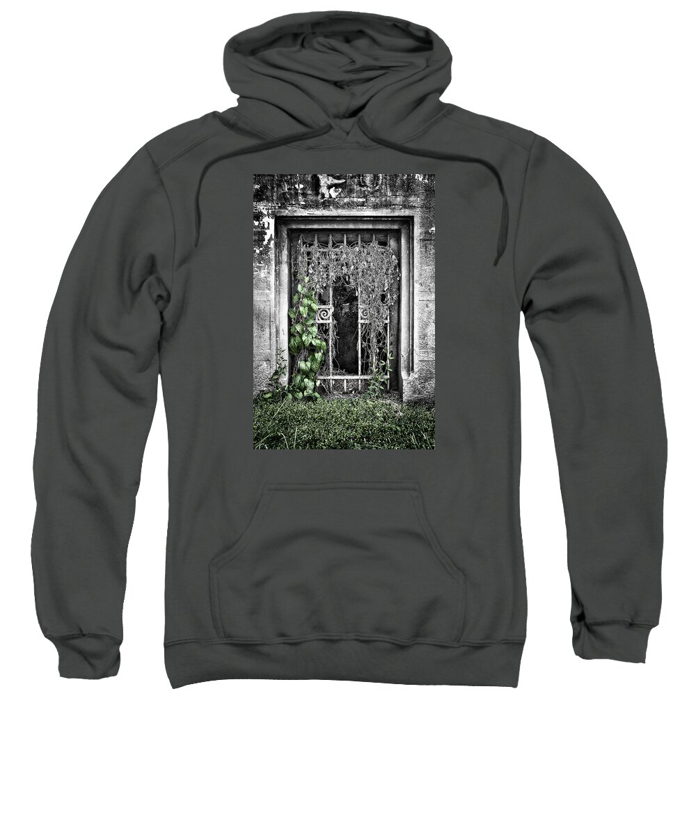 Architecture Sweatshirt featuring the photograph Creeping life by Radu Barsan