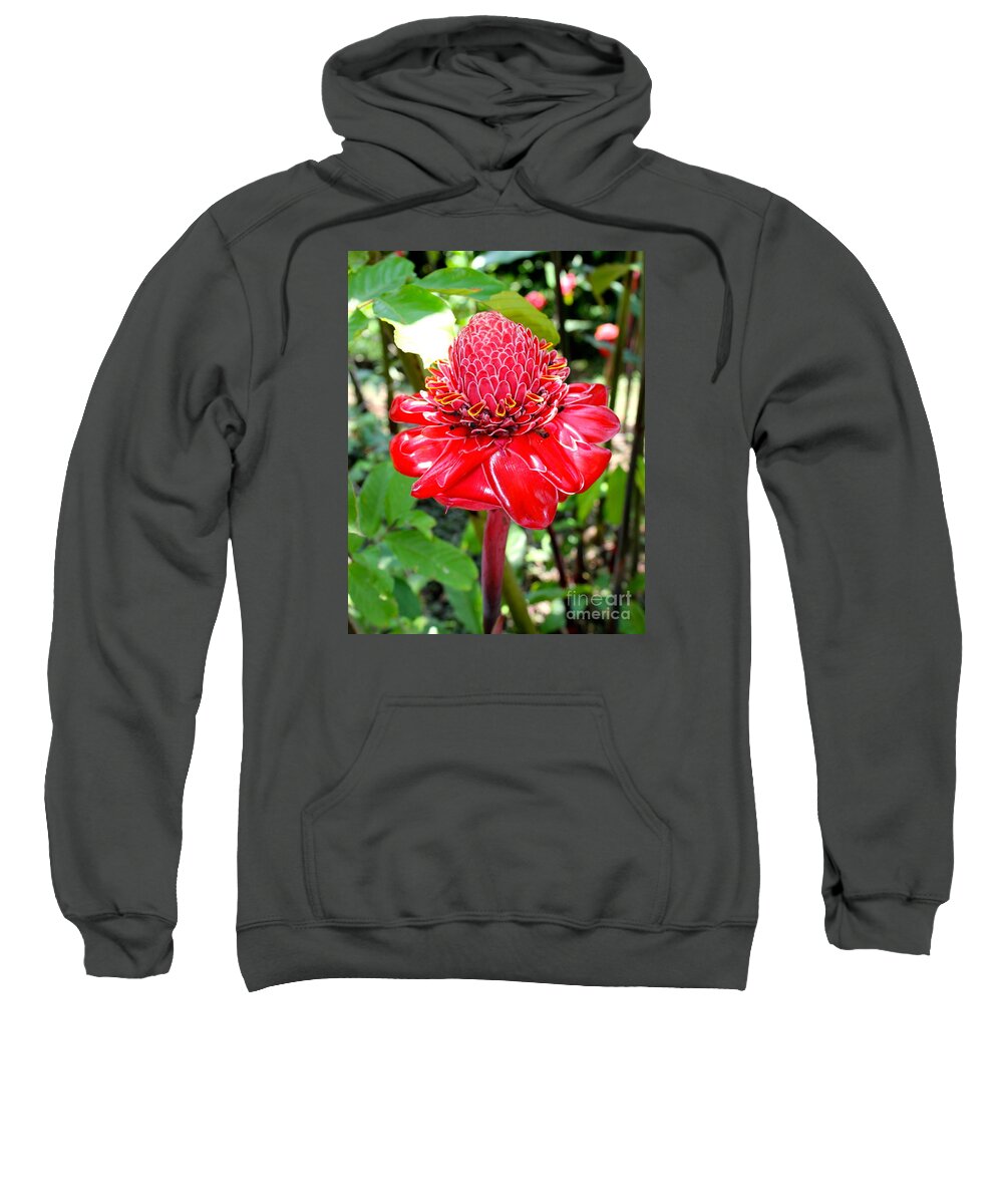 Flower Sweatshirt featuring the photograph Crimson Bloom by Alice Terrill