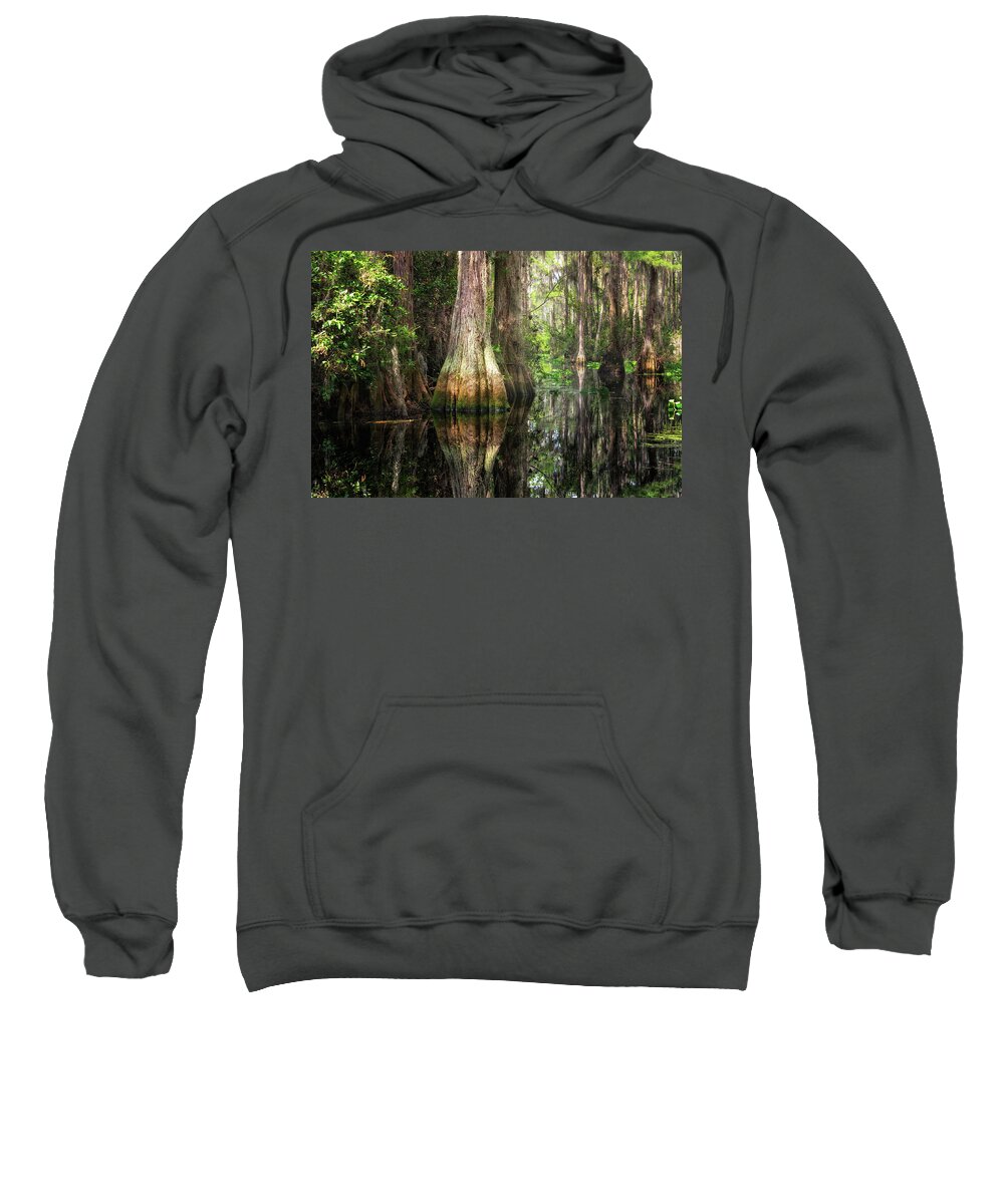 Abstract Sweatshirt featuring the photograph Cypress by Alex Mironyuk
