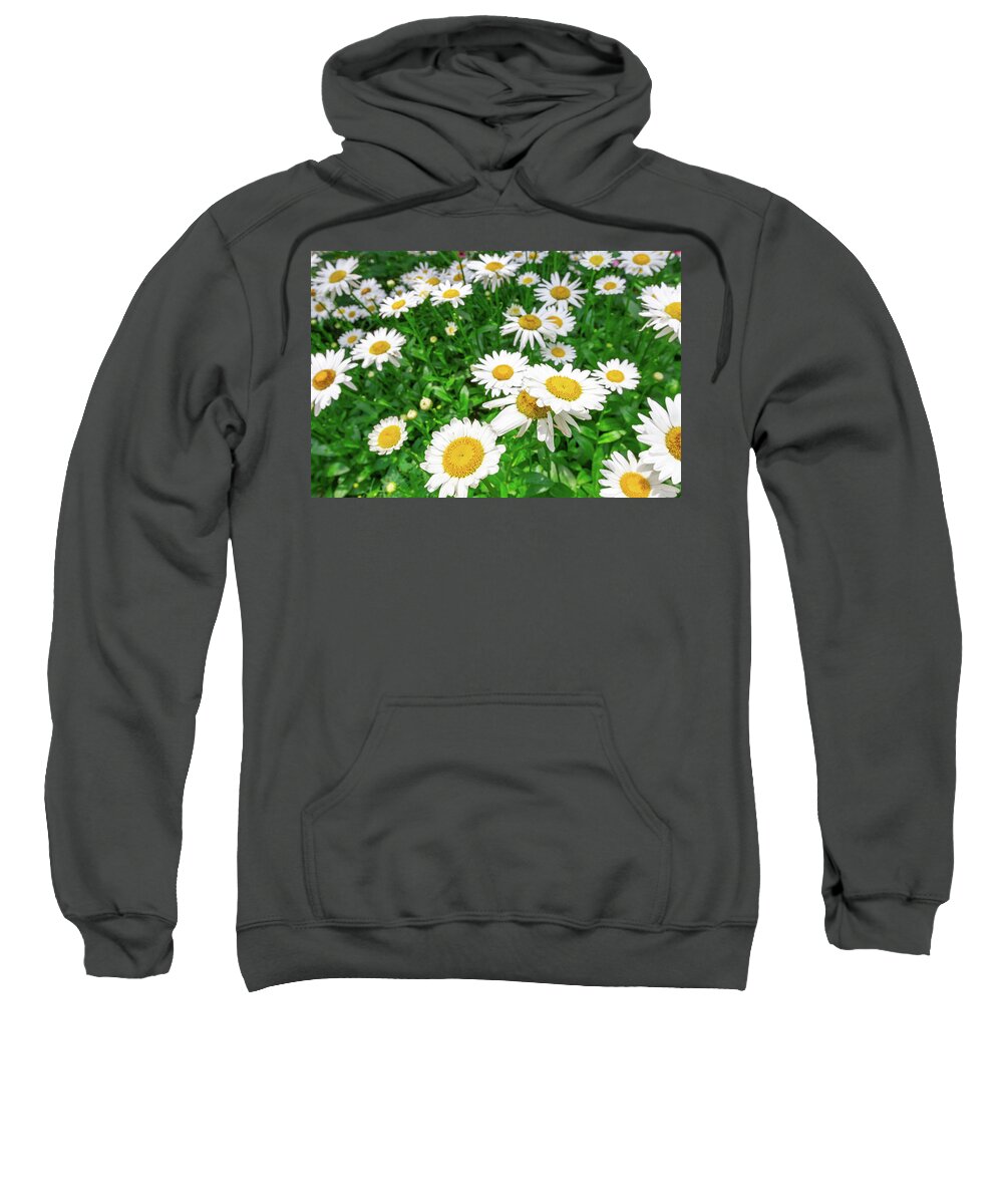 Bright Sweatshirt featuring the photograph Daisy Garden by SR Green