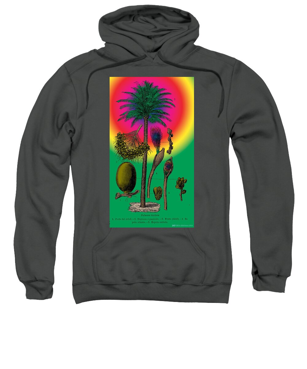 Date Palm Sweatshirt featuring the digital art Date Palm by Eric Edelman