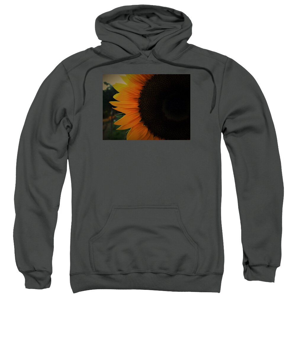Sunflower Sweatshirt featuring the photograph Day in the Sun by Mary McHatton