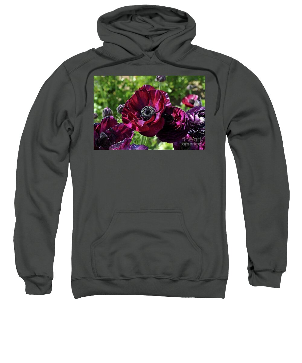 Fuchsia Sweatshirt featuring the photograph Deep Ranunculus by Bridgette Gomes
