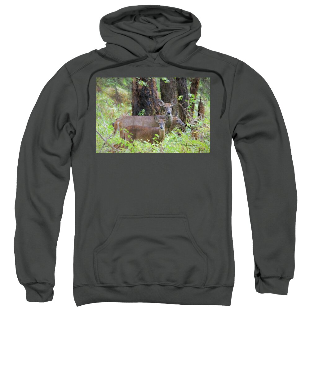 Deer Sweatshirt featuring the photograph Deer Family by ChelleAnne Paradis