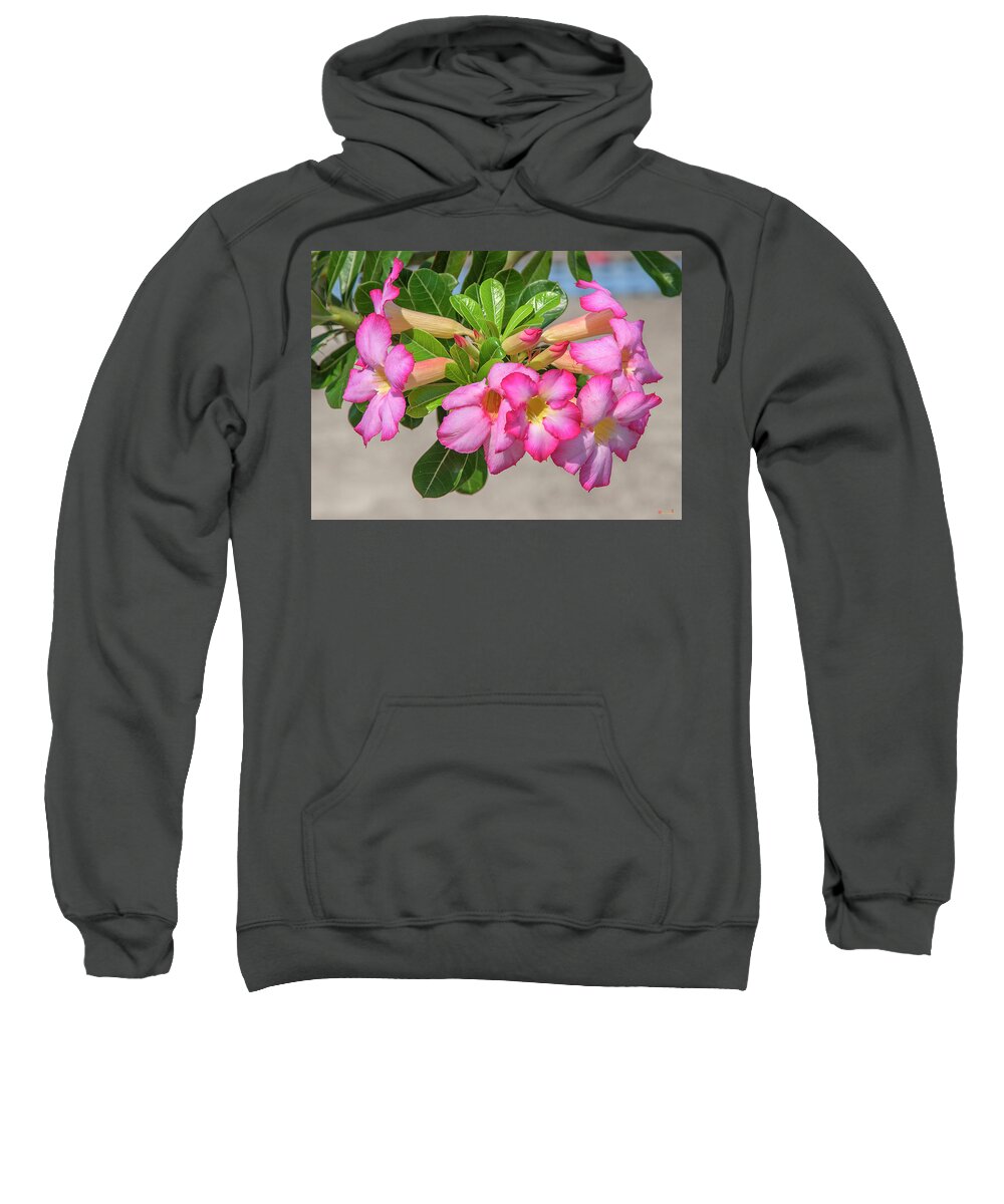 Scenic Sweatshirt featuring the photograph Desert Rose or Chuanchom DTHB2106 by Gerry Gantt
