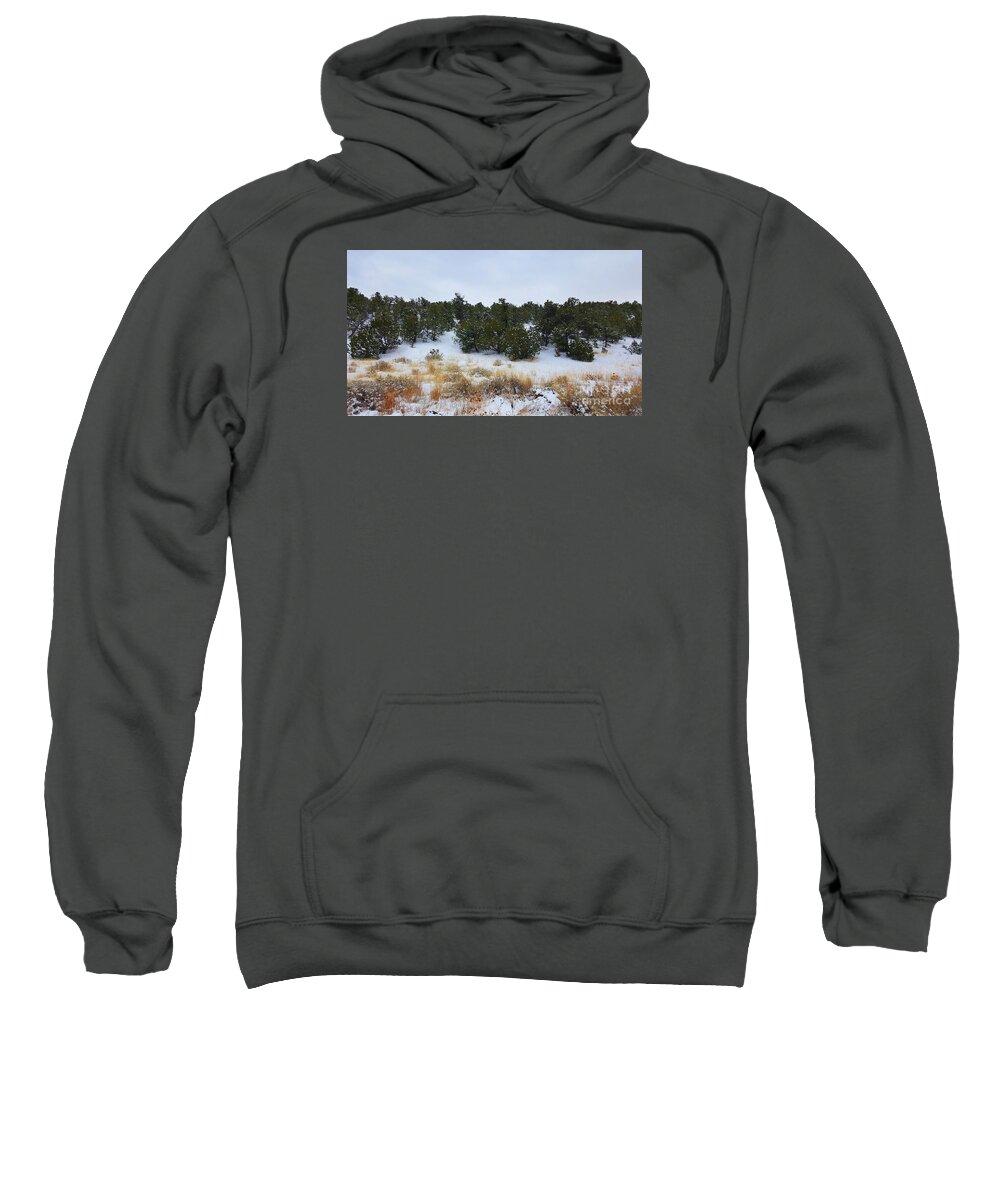 Southwest Landscape Sweatshirt featuring the photograph Desert tree line by Robert WK Clark