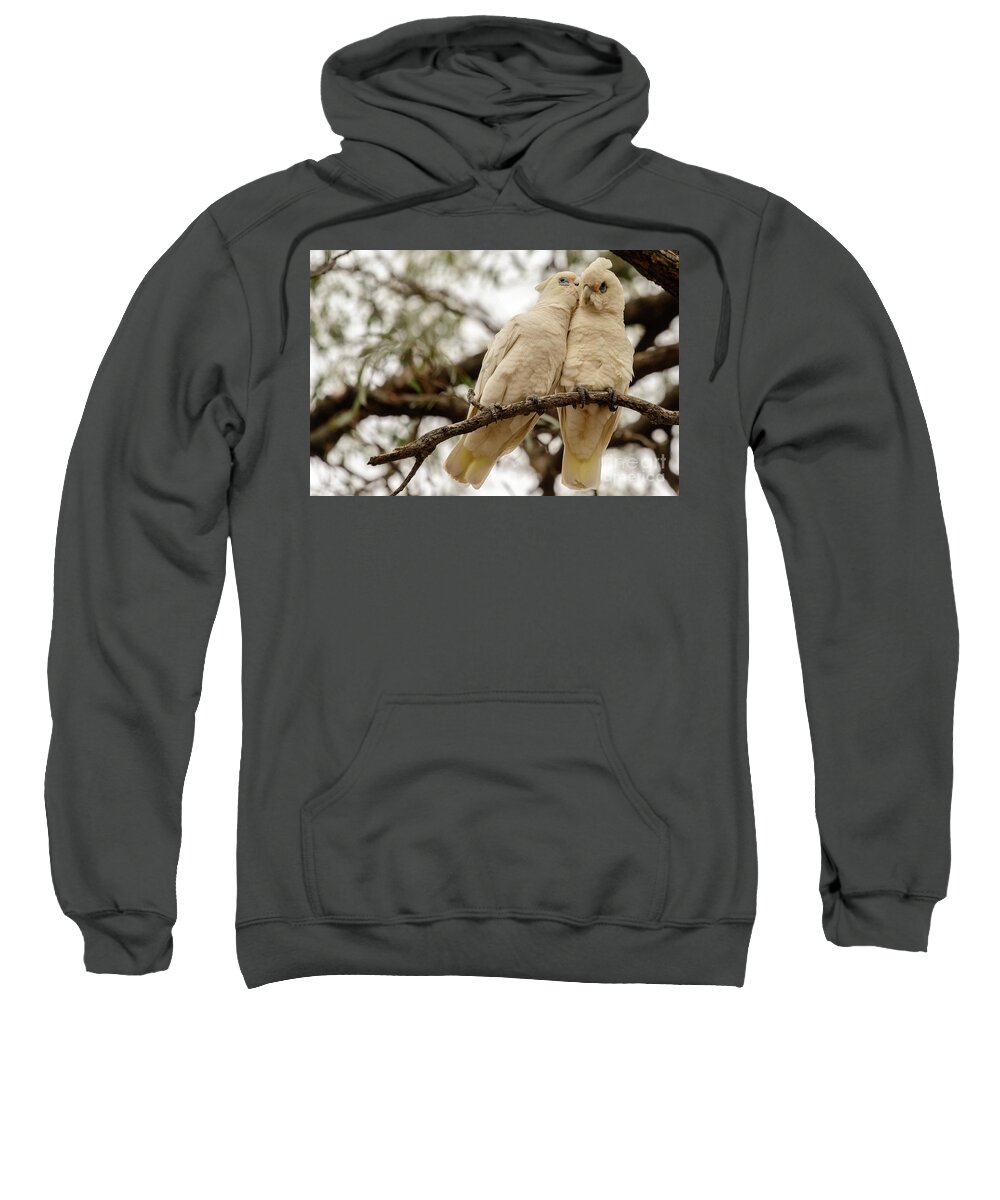 Bird Sweatshirt featuring the photograph Did You Hear The One About ... by Werner Padarin