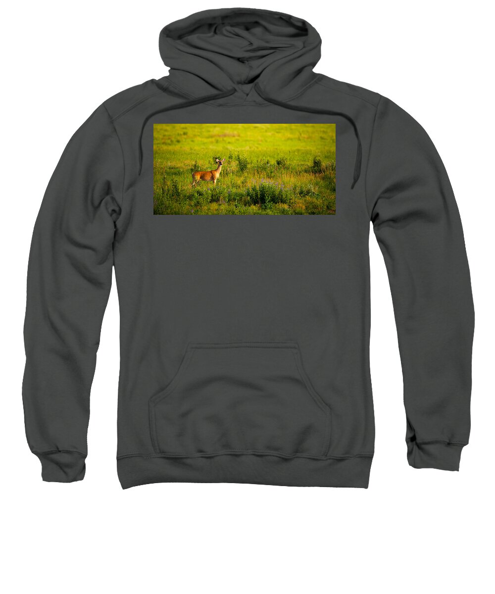 Doe Sweatshirt featuring the photograph Whitetail Doe in Prairie Clover by Jeff Phillippi