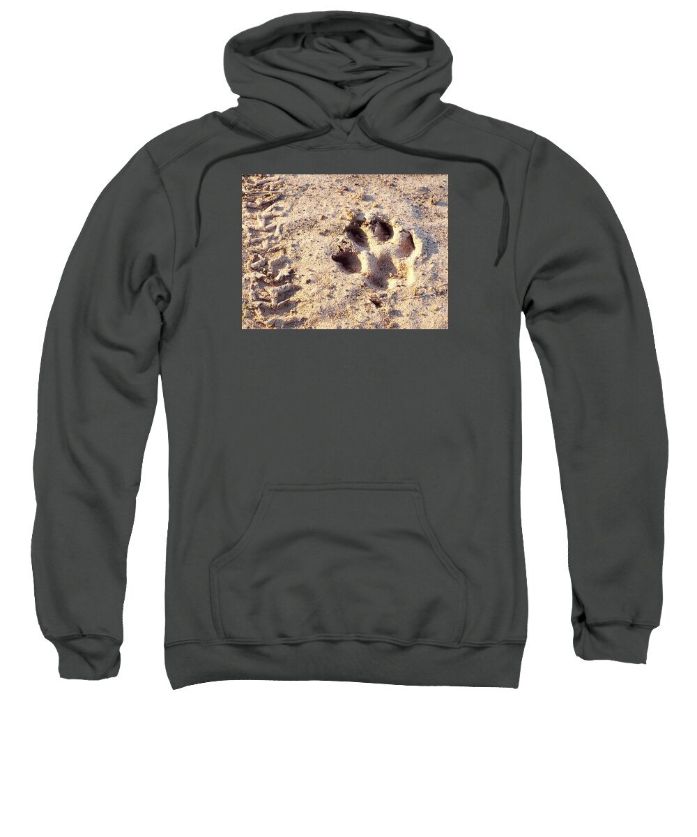 Dog Paw Print. Outdoors. Dogs. Paws. K-9. Dirt. Sand. Bike Track. Nature. Woof. Sweatshirt featuring the photograph Dog paw print outside. by Shelby Boyle