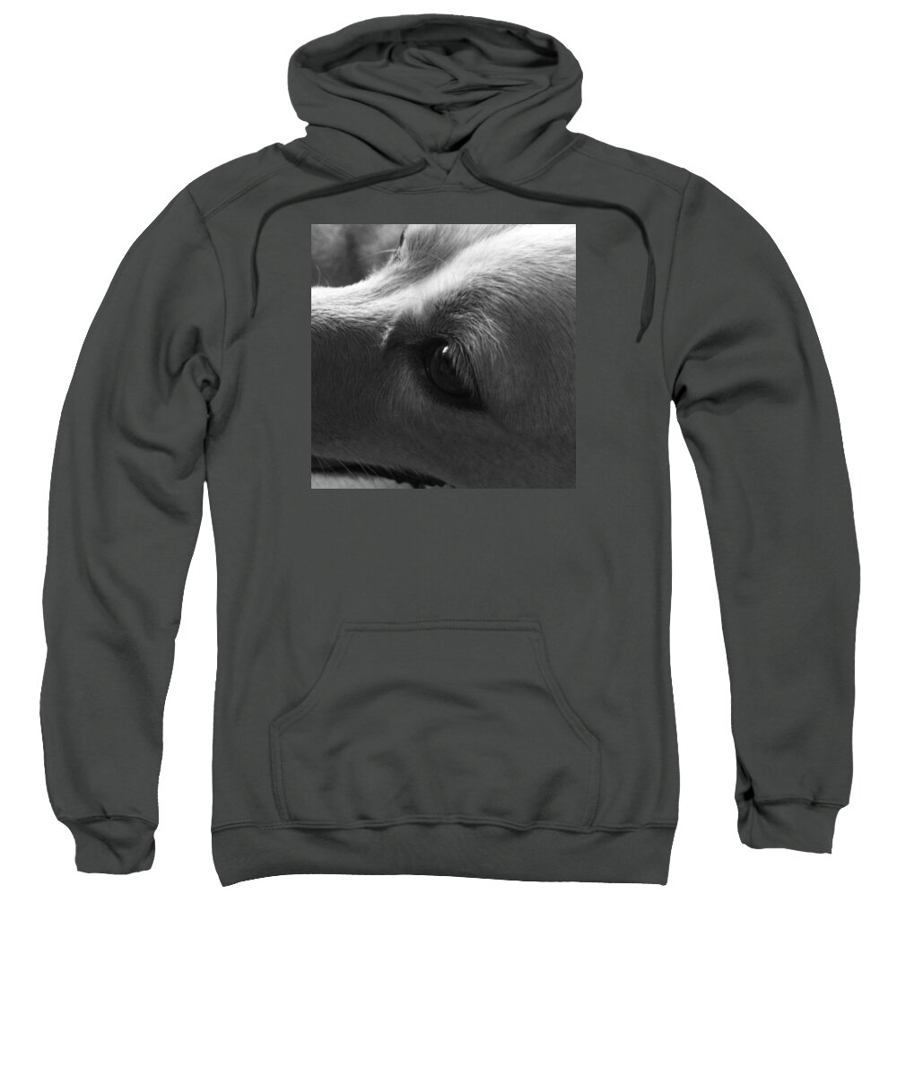 Beautiful Sweatshirt featuring the photograph Black and White Lab by Michael Moriarty
