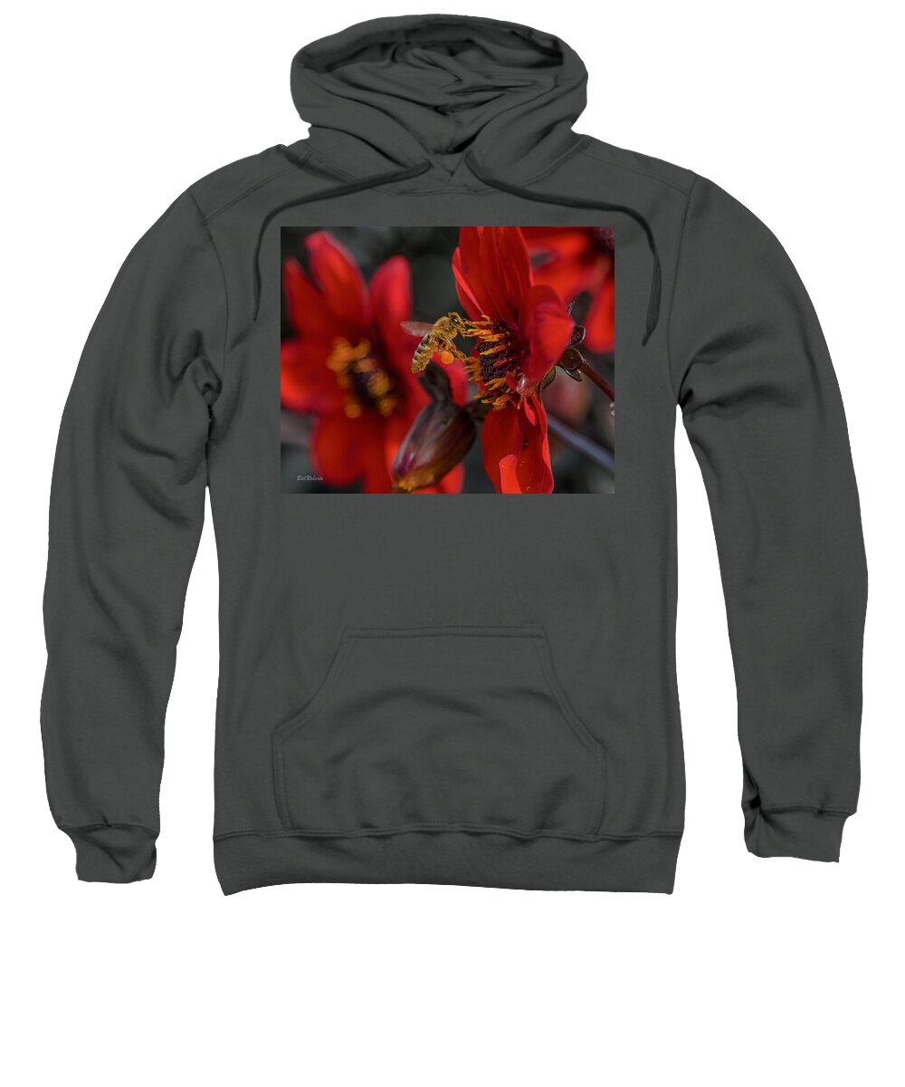 Bees Sweatshirt featuring the photograph Doing His Bees-ness by Bill Roberts