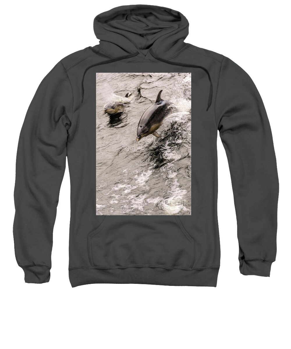 Dolphin Sweatshirt featuring the photograph Dolphins by Werner Padarin