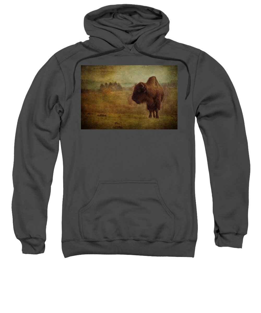 Bison Sweatshirt featuring the photograph Doo Doo Valley by Trish Tritz
