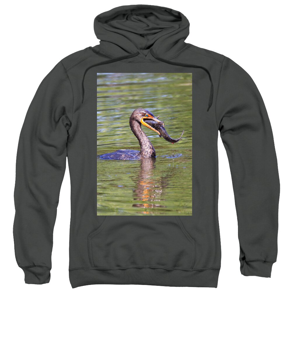Florida Sweatshirt featuring the photograph Down the Hatch by Paul Schultz