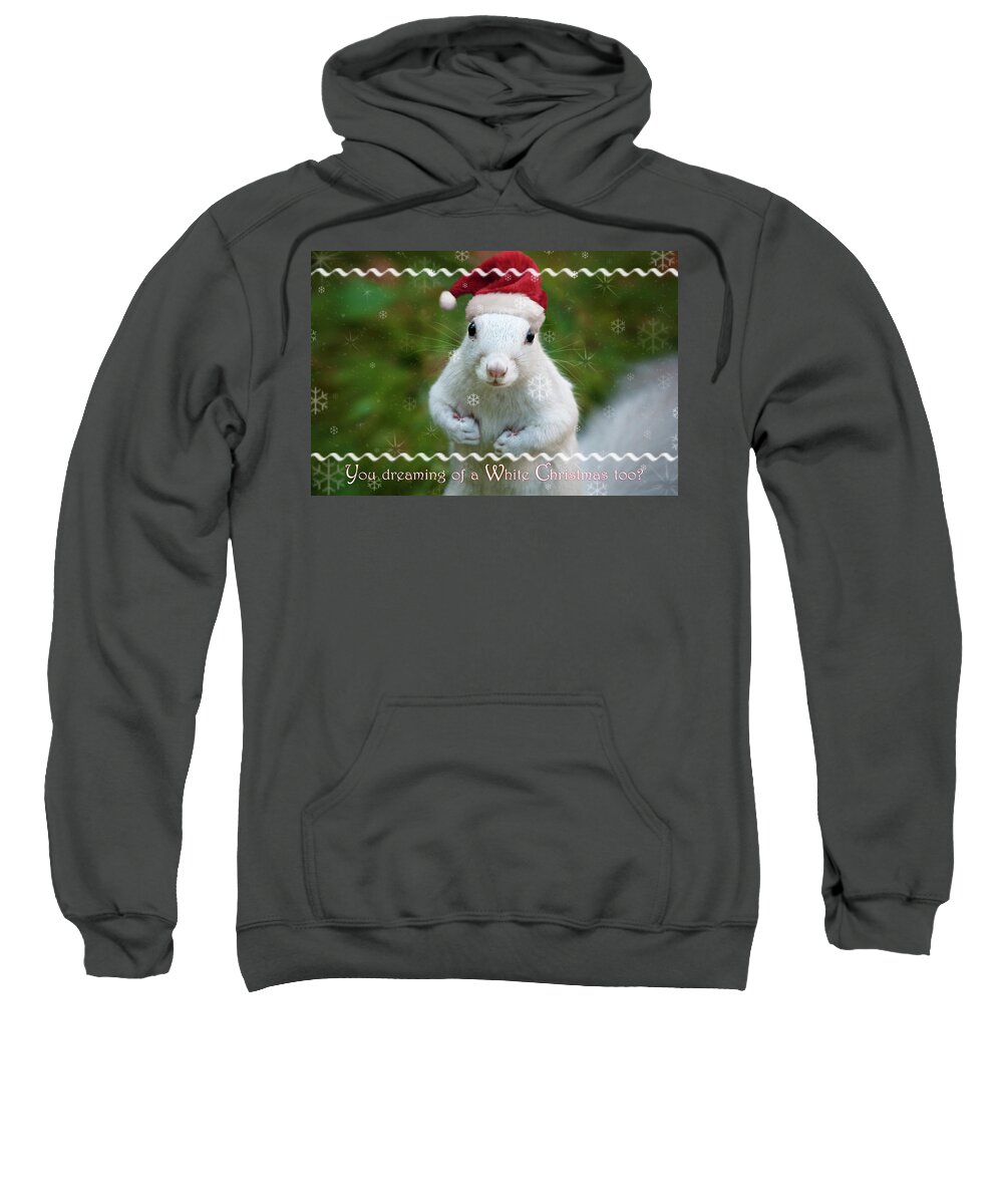 Boston Sweatshirt featuring the photograph Dreaming of a White squirrel Christmas by Sylvia J Zarco