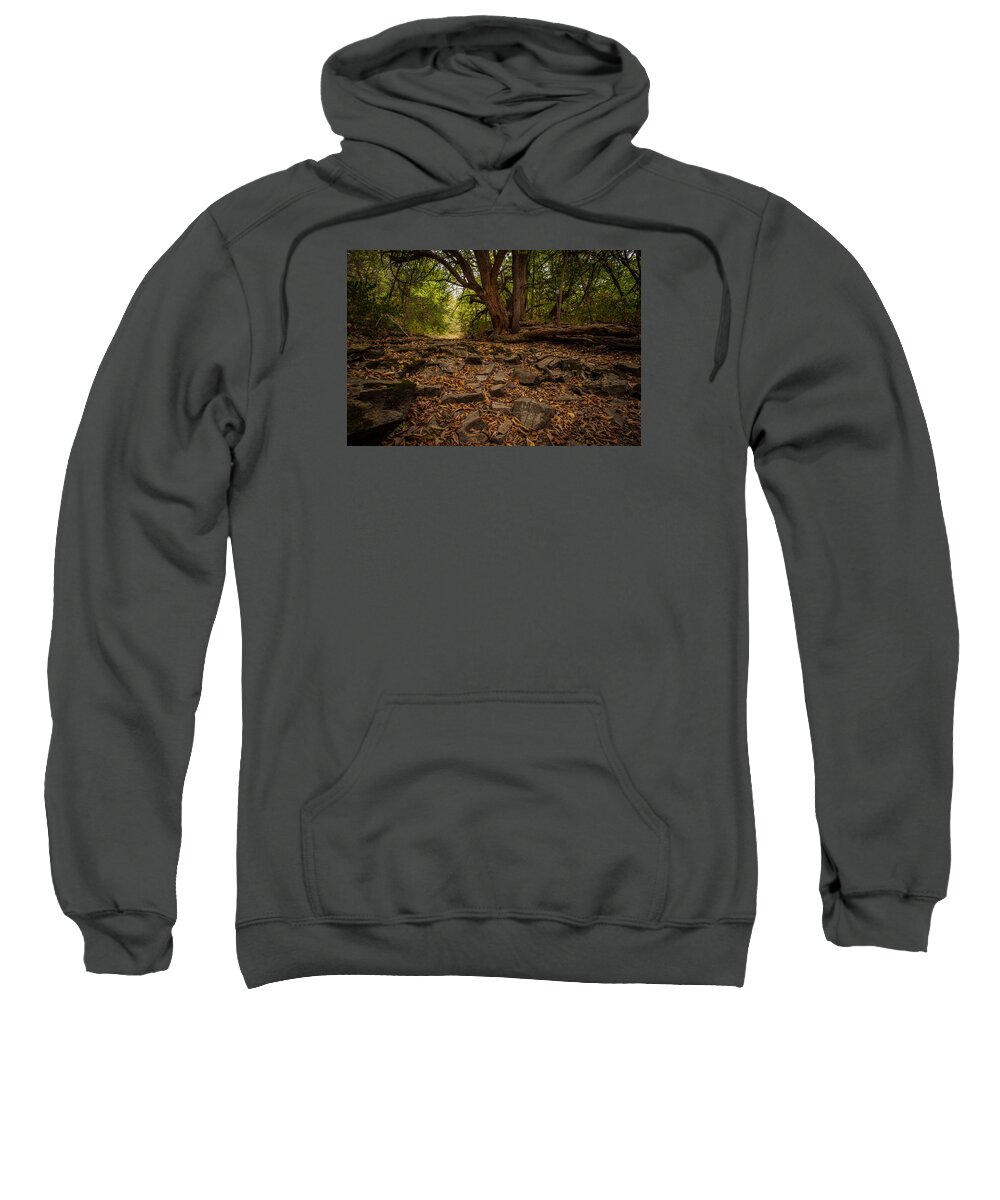 Landscape Sweatshirt featuring the photograph Dry Wash and Osage Orange by Jeff Phillippi