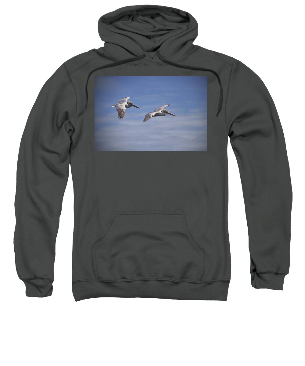 Pelicans Sweatshirt featuring the photograph Dynamic Duo by Phil Mancuso