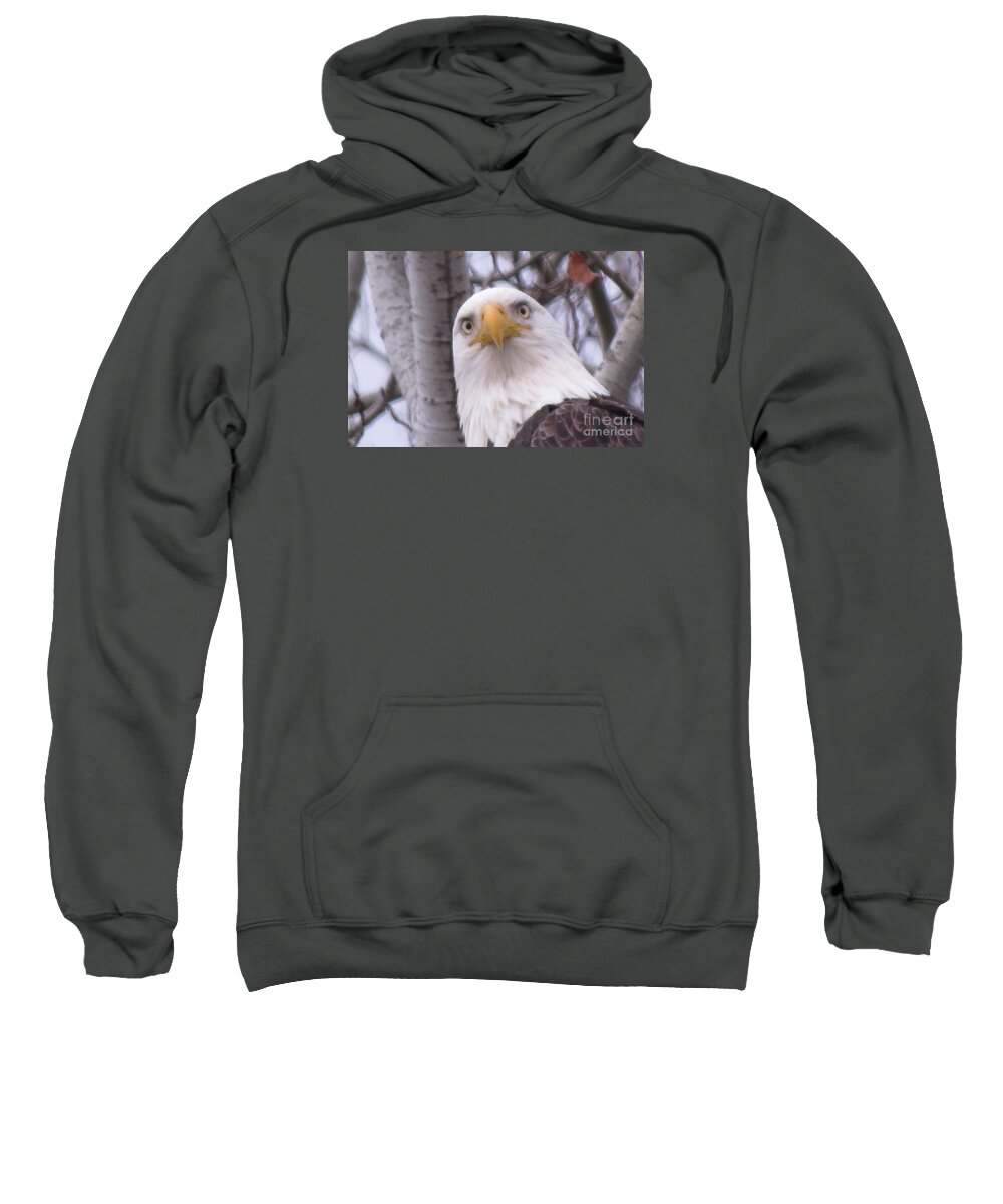 Photograph Sweatshirt featuring the photograph Eagle Eyes by Mary Mikawoz